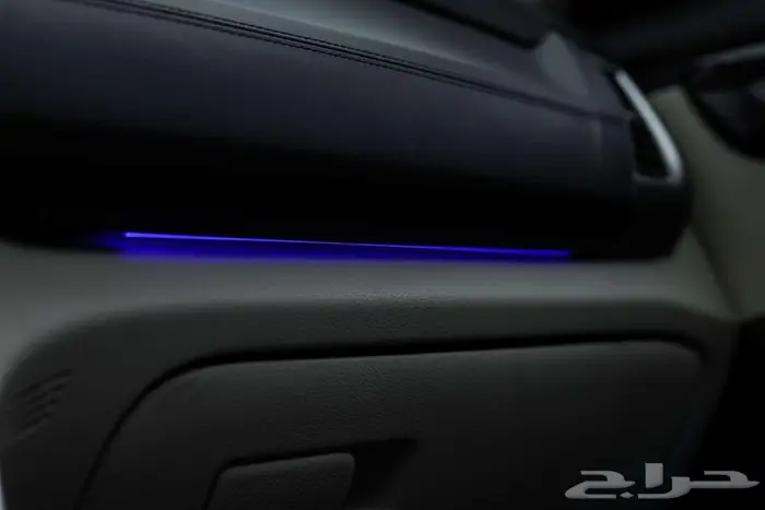 سيلتوس نص فل 2025 8