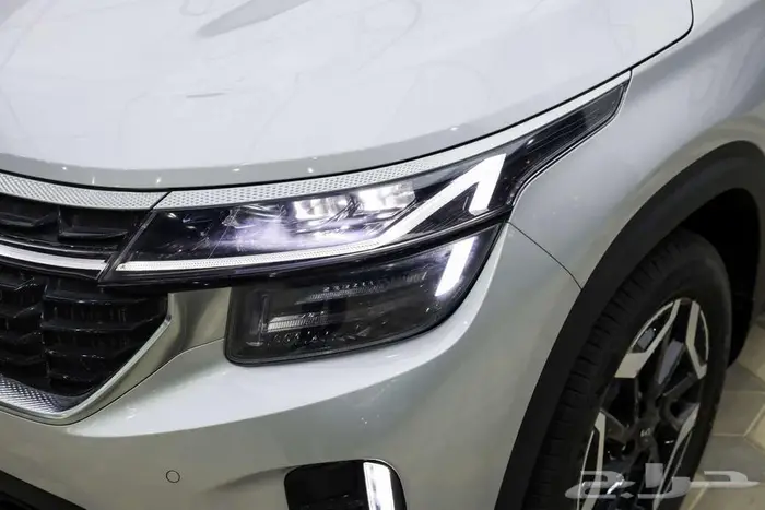 سيلتوس نص فل 2025 2