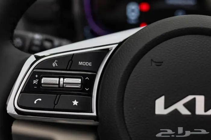 سيلتوس نص فل 2025 7