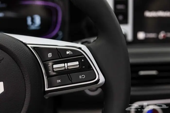 سيلتوس نص فل 2025 10