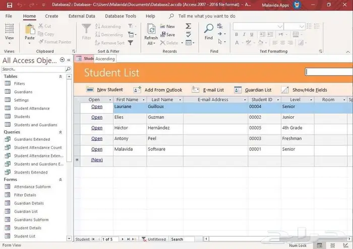 خدمات مايكروسوفت أكسس الاحترافية   تصميم قواعد بيانات مخصصة 0