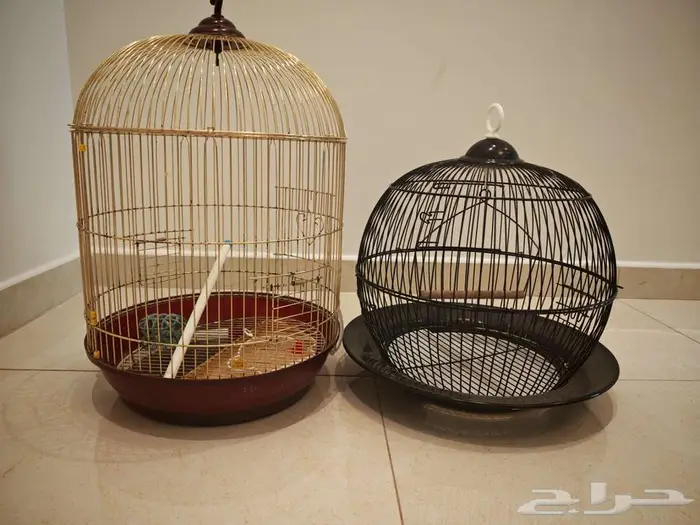 قفصين عصافير او طيور للبيع قفص 0