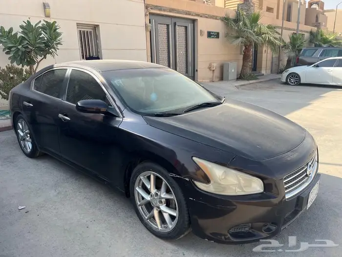 ماكسيما 2010 7