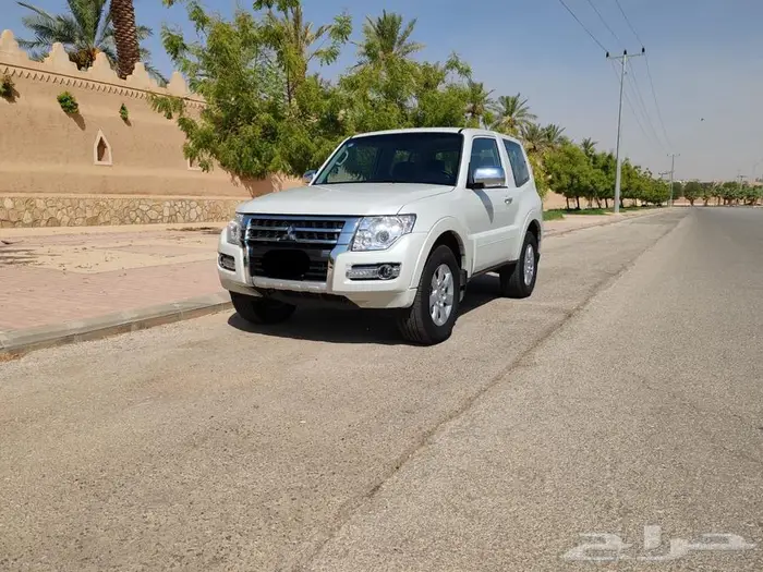 باجيرو ربع ممشى قليل 1