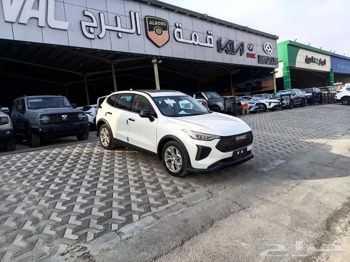 هافال جوليان برو بريميوم 2025 0