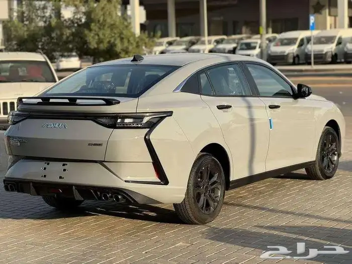 دونج فينج شاين 2025 4