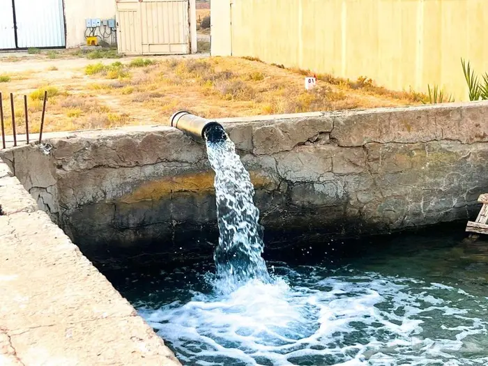 مزرعة للبيع بالقصيم 16