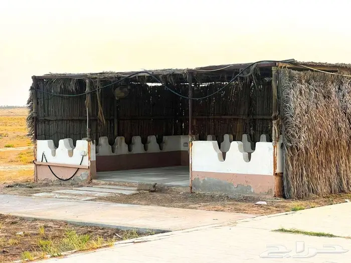 مزرعة للبيع بالقصيم 12