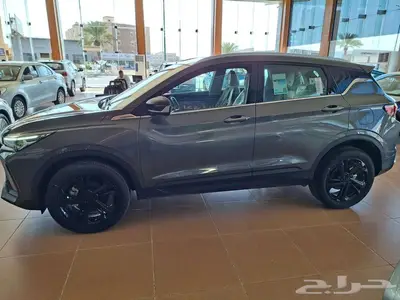 جيلي كولراي نص فل 2025 index