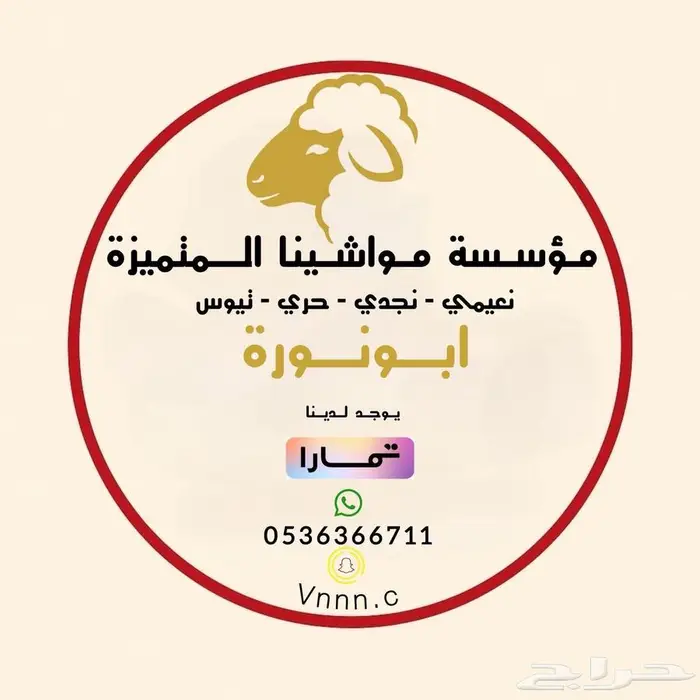 ذبيحتك لباب بيتك 8