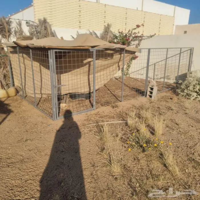 شبك ثلاث قطع القطعة 3 متر 0