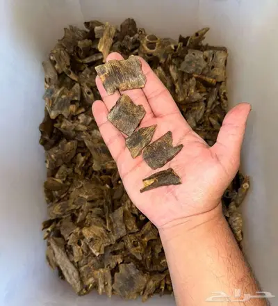 عود صيني كينام فاخر index