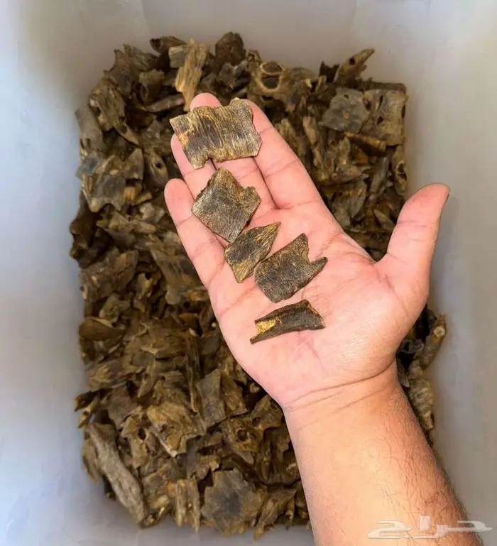 عود صيني كينام فاخر 0