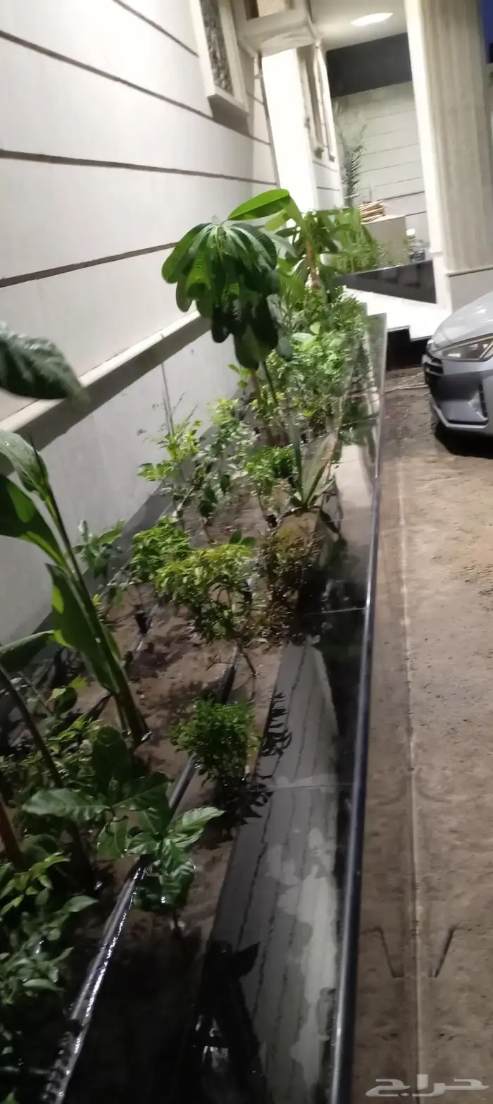 تنسيق حدائق جدة 0