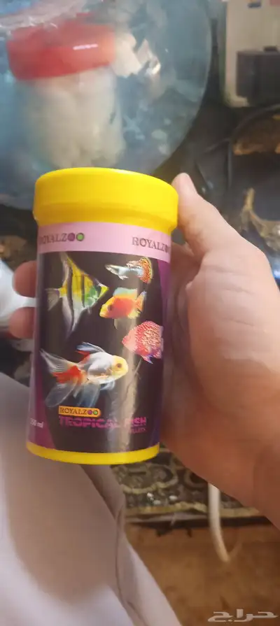 حراج الاسماك index