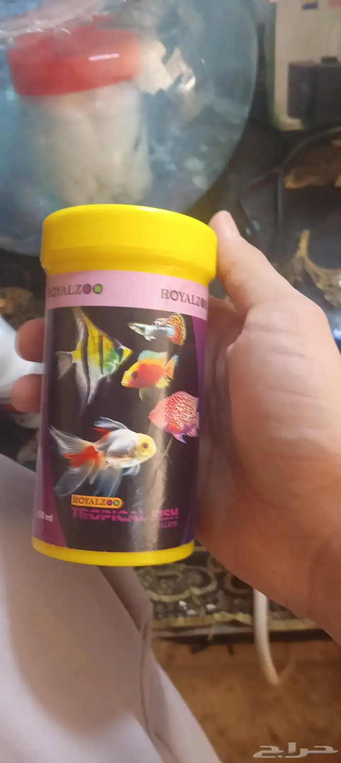 حراج الاسماك 3