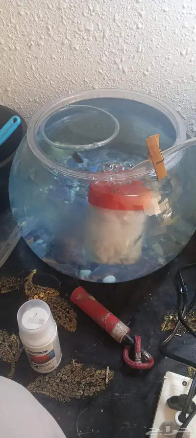 حراج الاسماك index