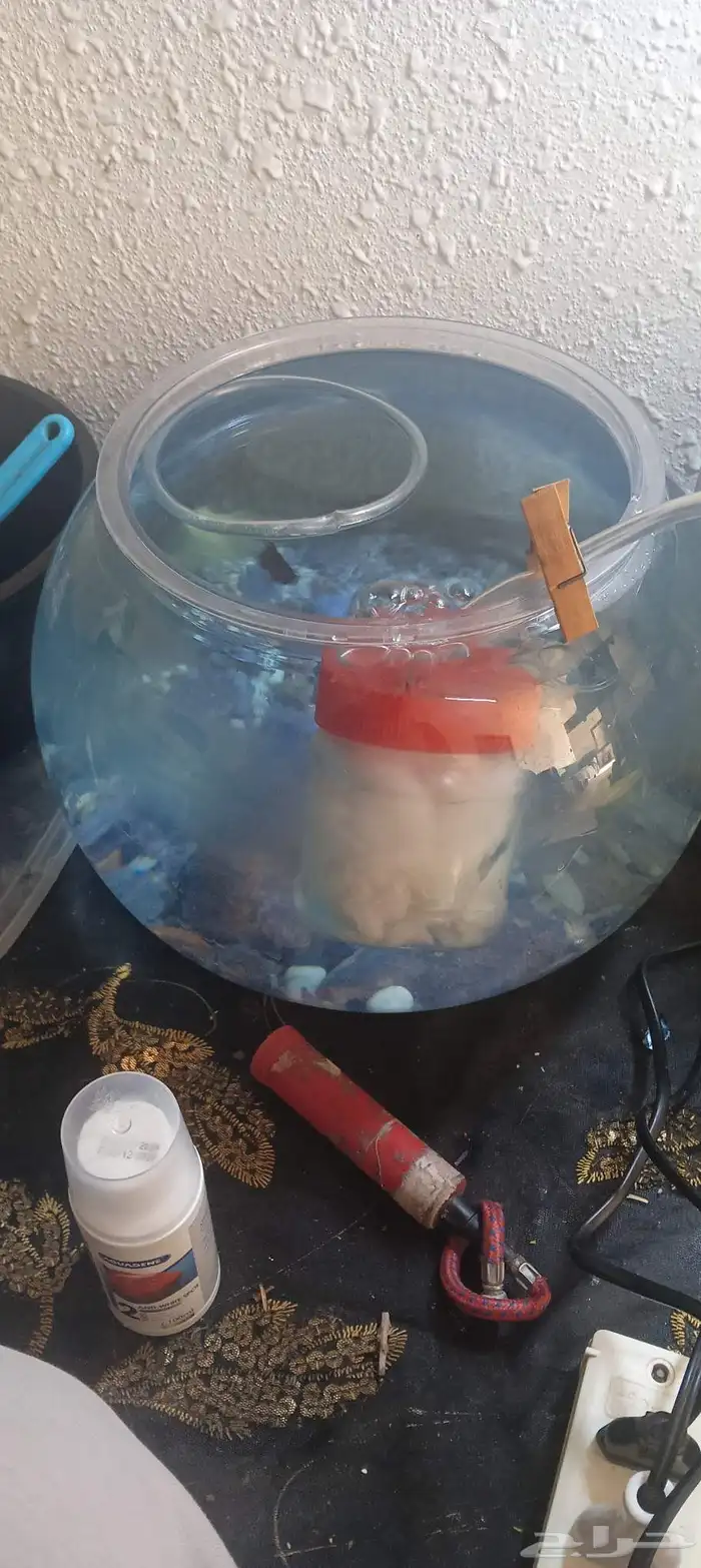 حراج الاسماك 2