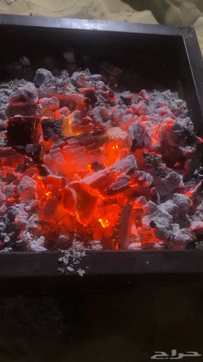 حطب وفحم مستورد 4