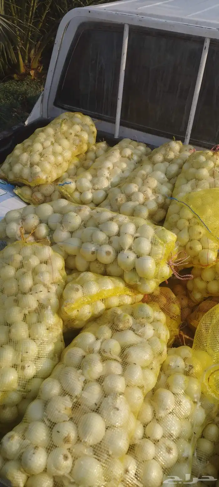 شتلات زراعية 1