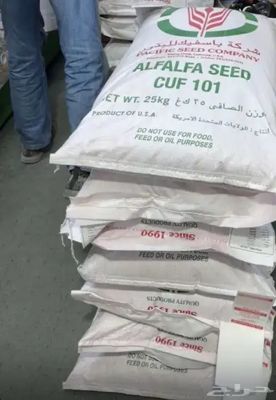 بذور برسيم 0