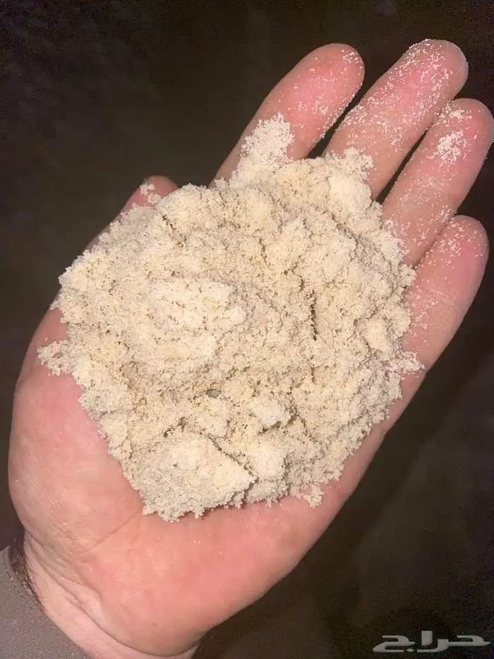 بطحة الرياض لياسه بطحه مخلوط 3