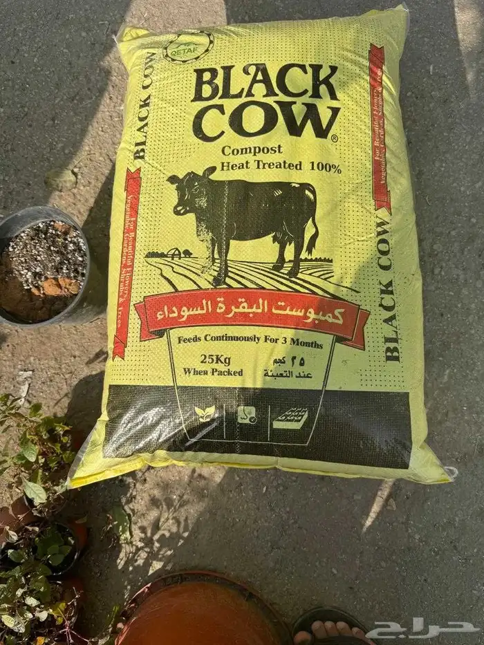 توريد الاشجار والزهور بسعر الجمله 6