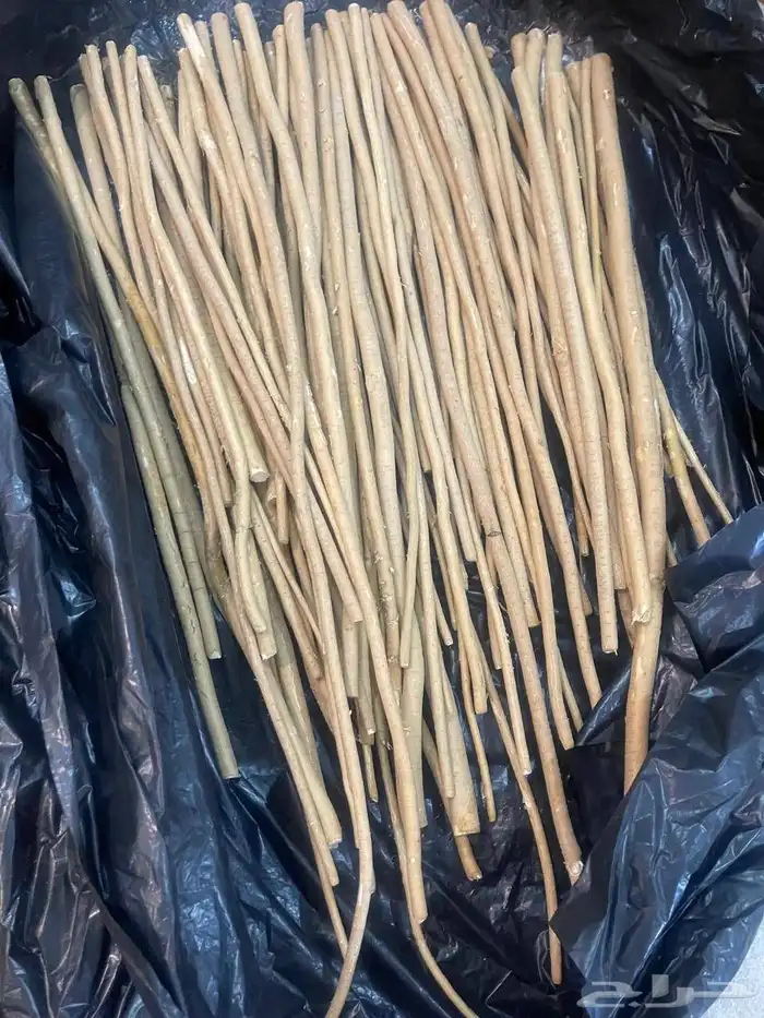 سواك الدمام 3