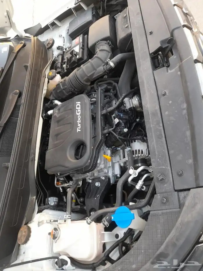 فينيو سمارت وكالة ممشى 17 الف لوحة مميزة موديل 2024 9