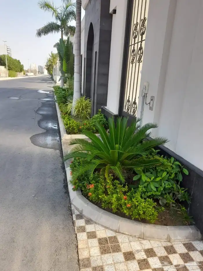 تنسيق حدائق جدة 5