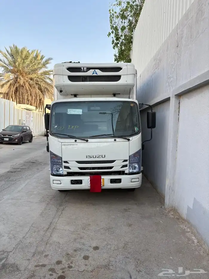 ديينا ايسوزو 2