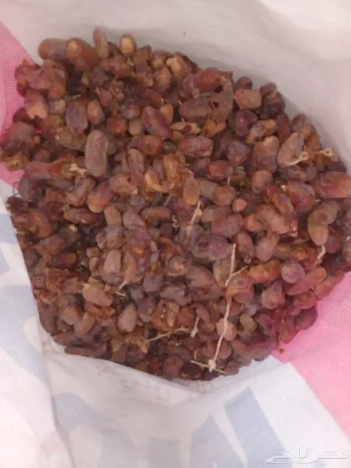 تمر علف نظيف 1