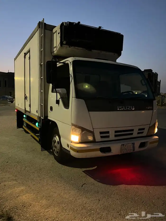 دينا موديل 2006 7