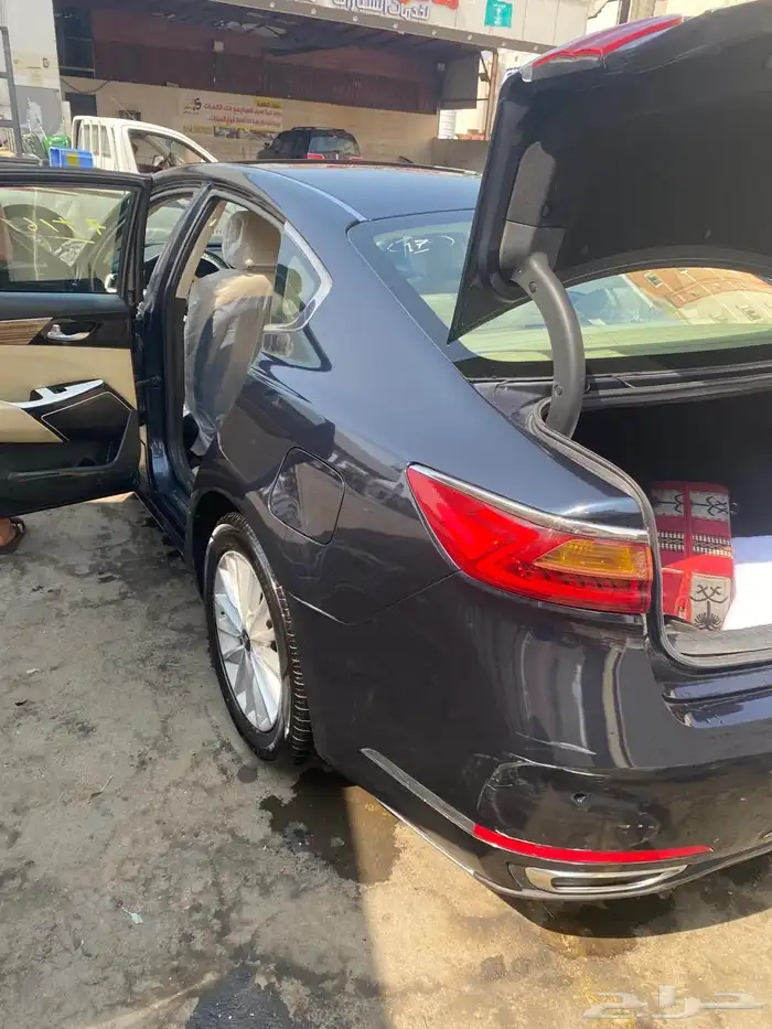 كادينزا 2017 6