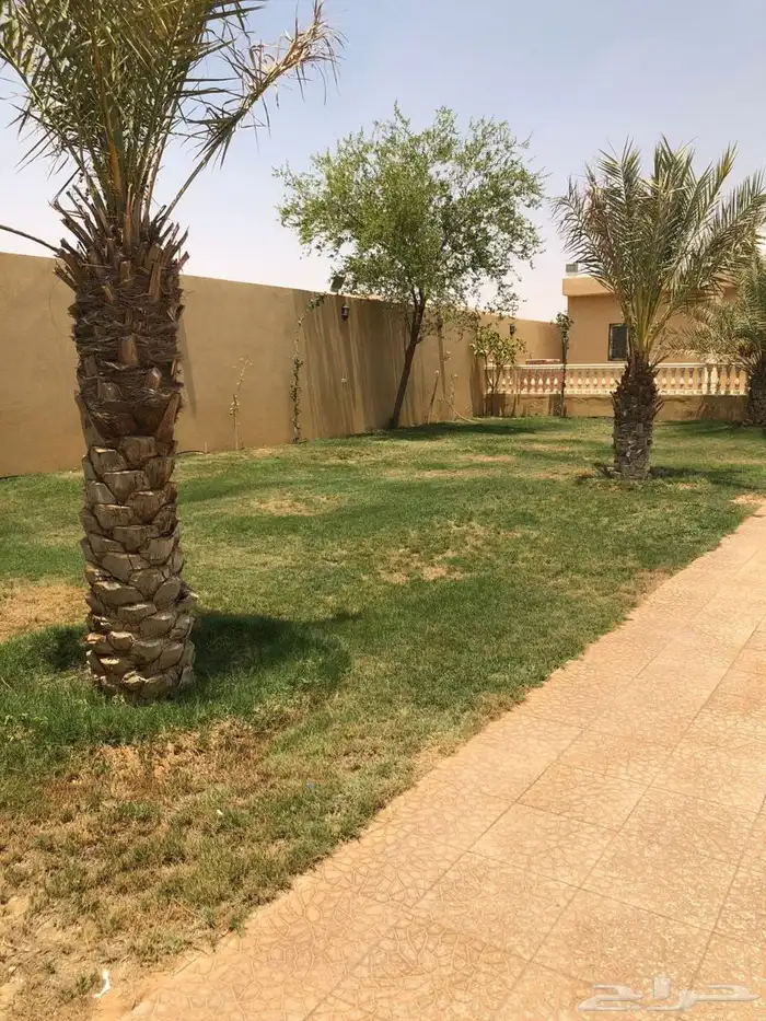 استراحه للايجار السنوي في بنبان شمال الرياض 0