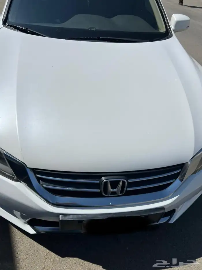 اكورد استاندر 2013 4