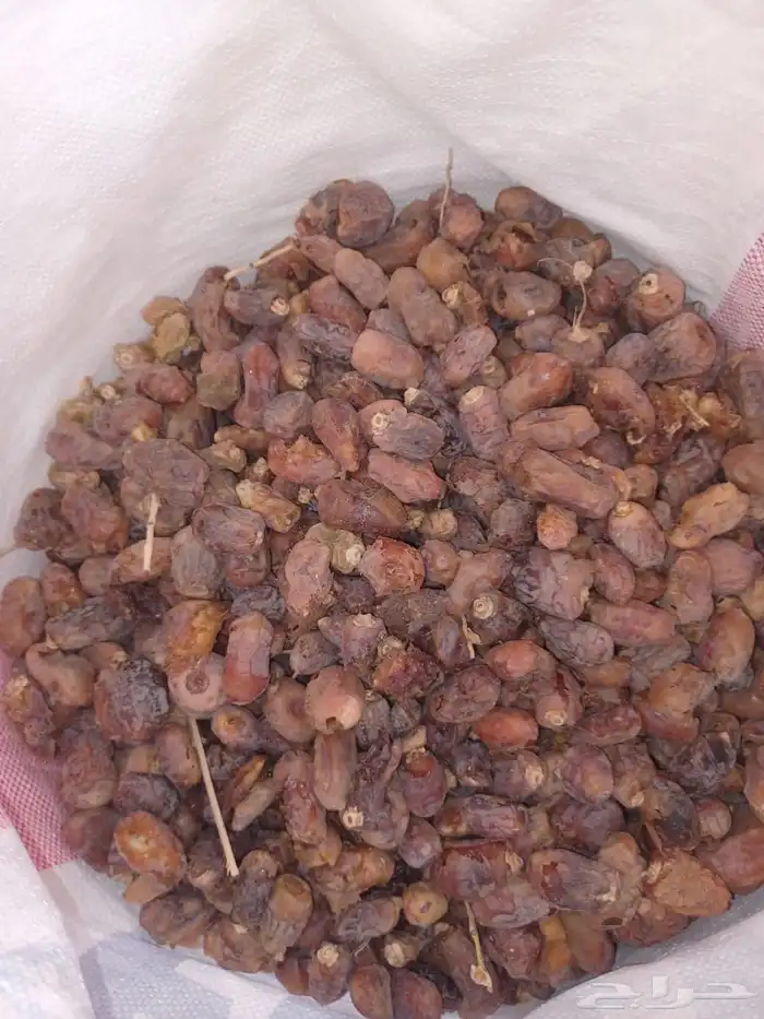 تمر علف نظيف 2