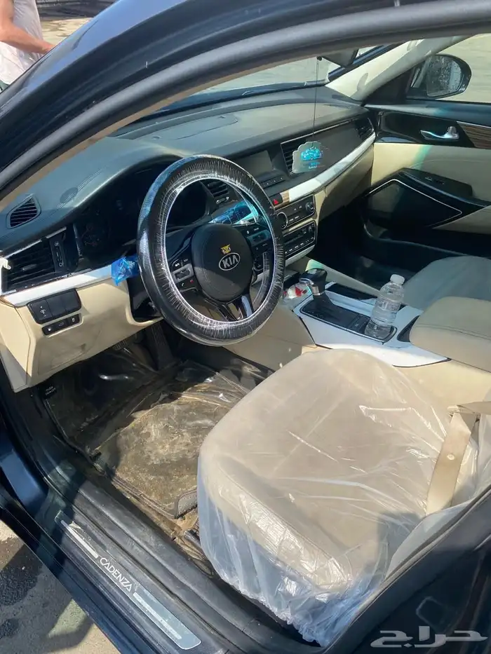 كادينزا 2017 8