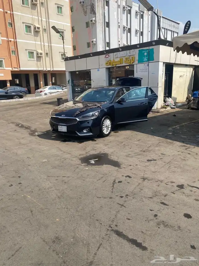 كادينزا 2017 2