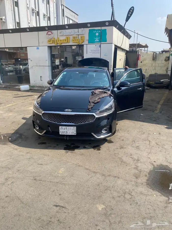 كادينزا 2017 1