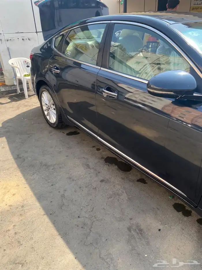 كادينزا 2017 5