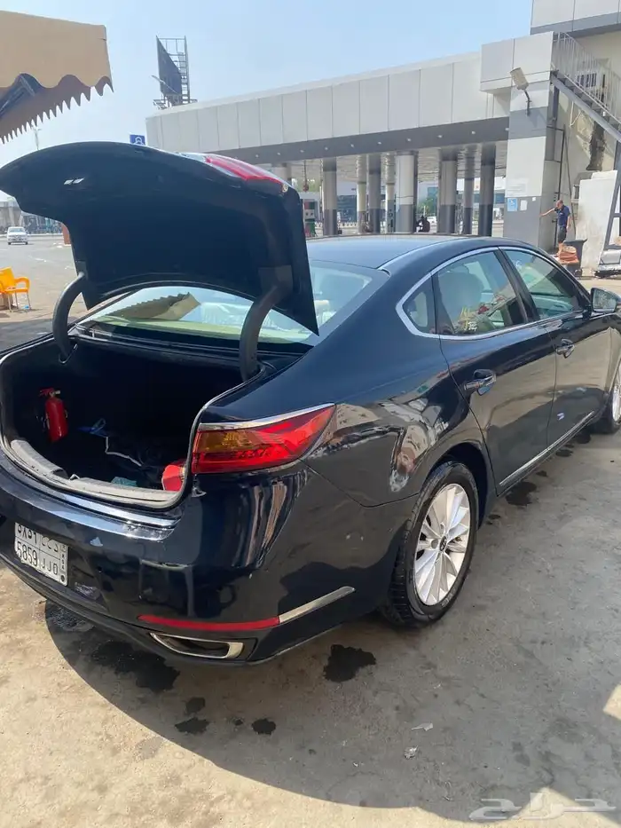 كادينزا 2017 4