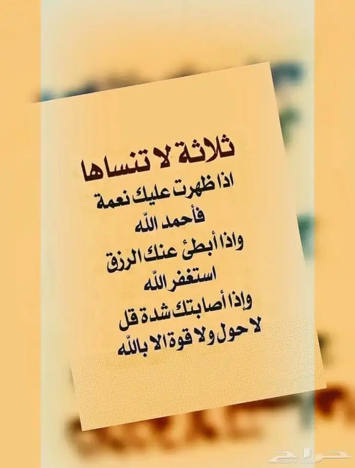 ملطوب شقه للايجار عوائل في حي الملك خالد 0