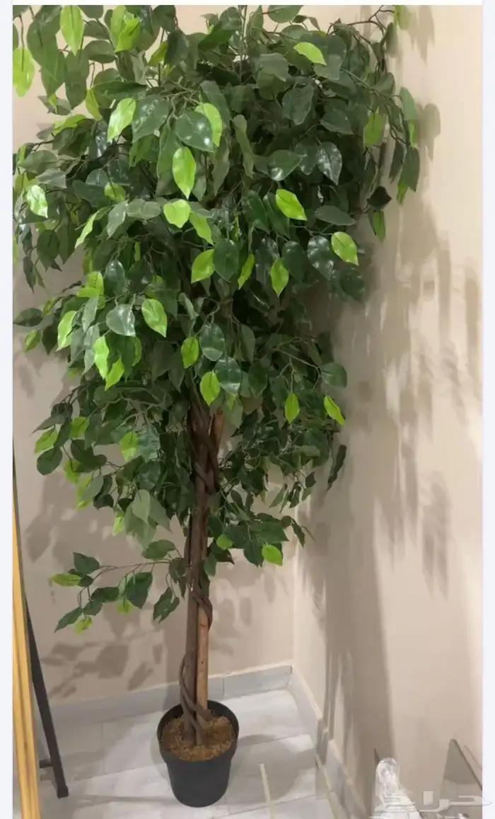 طاولة استيل 2