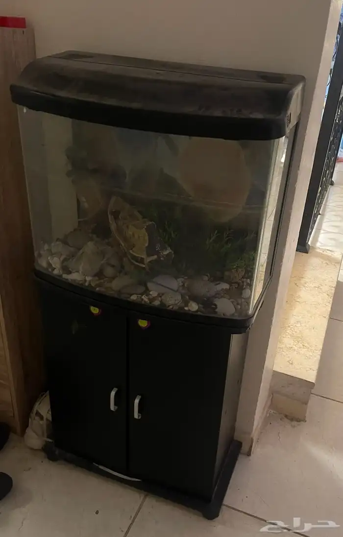 للبيع ثلاجه وحوض سمك مع دولاب 1