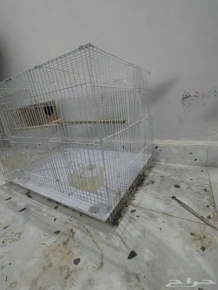 قفص 601 نضيف 2