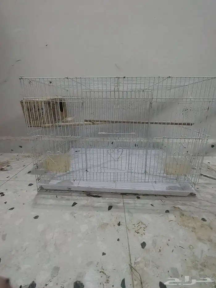 قفص 601 نضيف 0