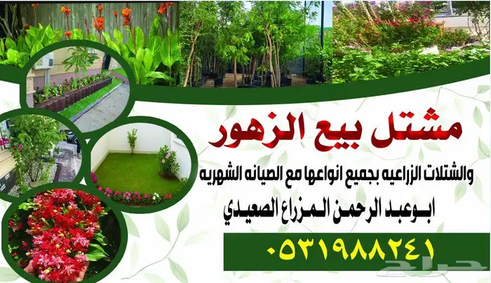 مشتل بيع الزهور والشتلات الزراعيه بجميع انواعها مع الصيانه ا 4