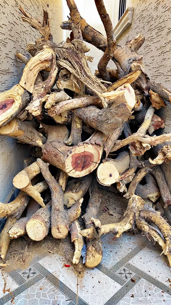 حطب للبيع 3