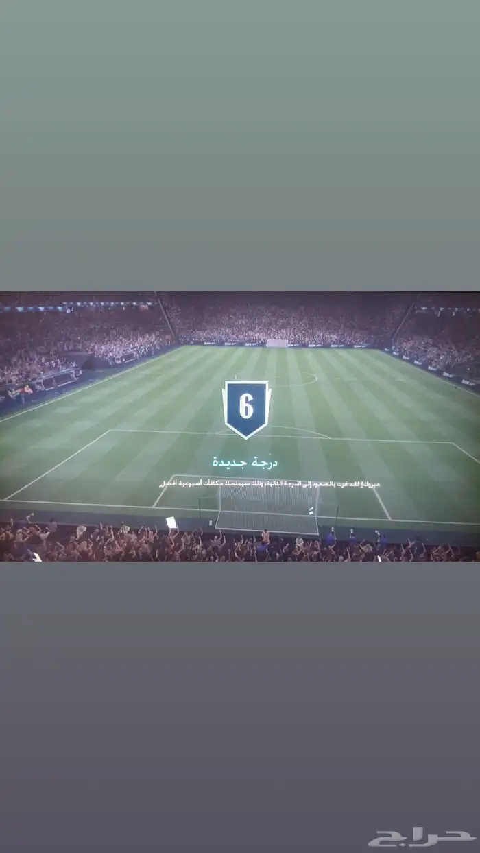 عرض خاص نوصلك دفجن 6 بي 10 ريال بس 0